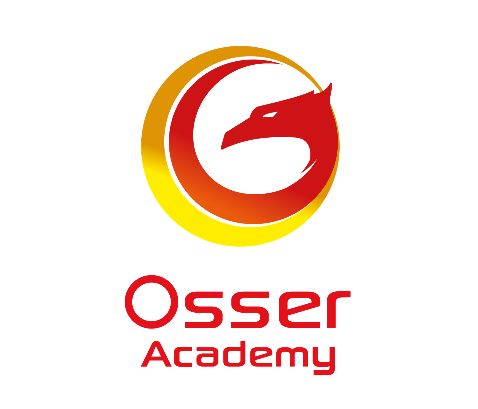 Osser Academy